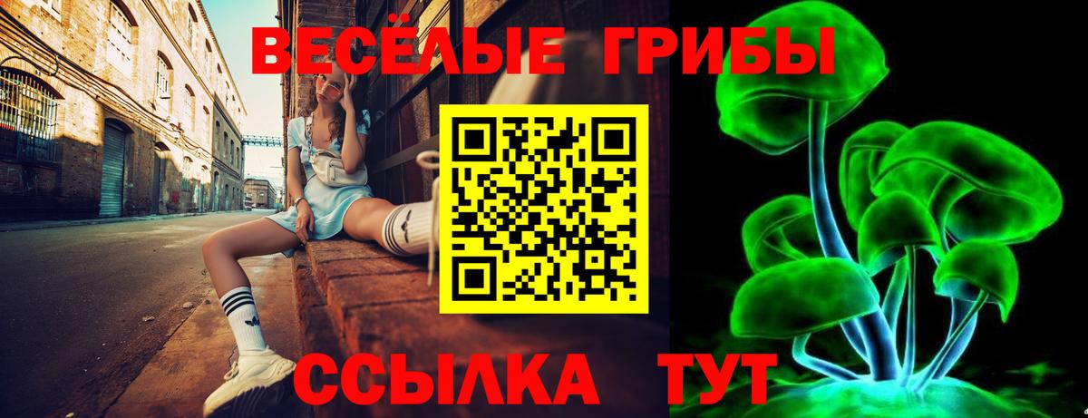 Беслан  Галлюциногенные грибы GOLDEN TEACHER  Вход с VPN 